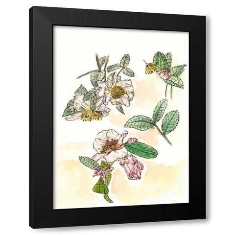 Camellia Study Black Modern Wood Framed Art Print with Double Matting by Wang, Melissa