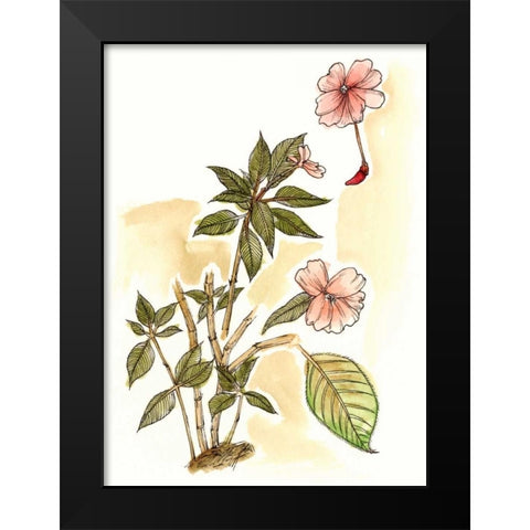 Impatiens Study Black Modern Wood Framed Art Print by Wang, Melissa