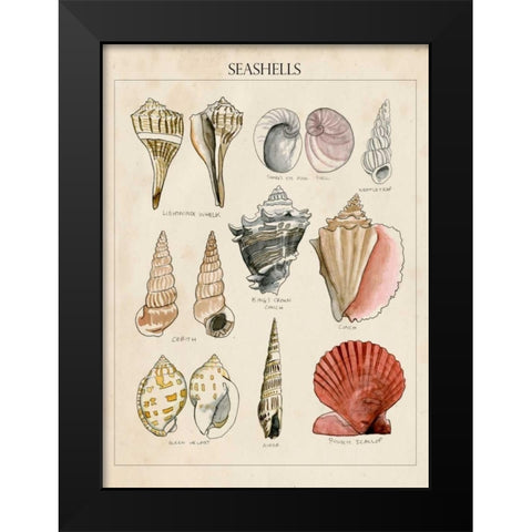 Seashell Sketch II Black Modern Wood Framed Art Print by McCavitt, Naomi