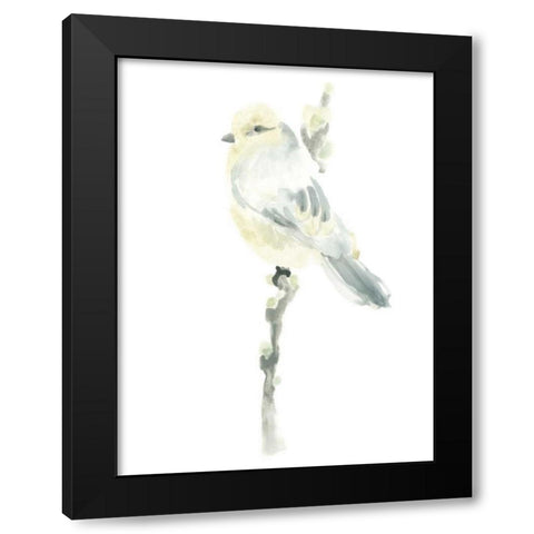 Avian Impressions I Black Modern Wood Framed Art Print with Double Matting by Vess, June Erica