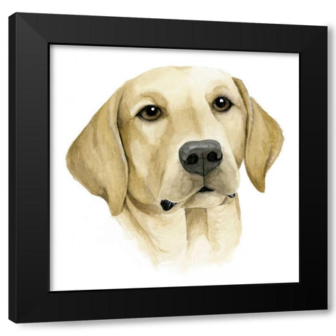 Humans Best Friend I Black Modern Wood Framed Art Print with Double Matting by Popp, Grace