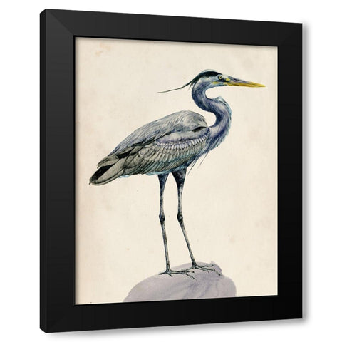 Blue Heron Rendering I Black Modern Wood Framed Art Print by Wang, Melissa