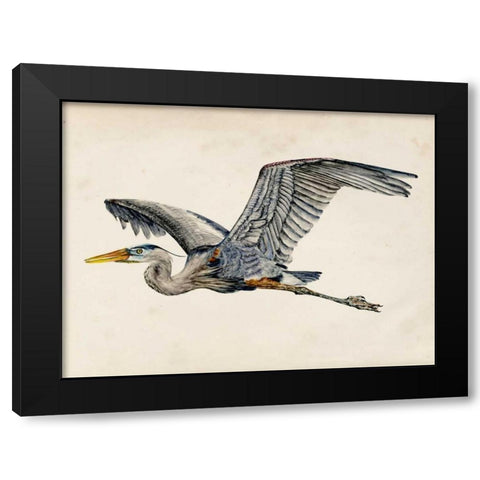 Blue Heron Rendering III Black Modern Wood Framed Art Print with Double Matting by Wang, Melissa