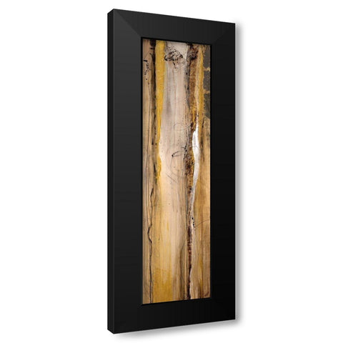 Analogous I Black Modern Wood Framed Art Print by Taylor, Kari