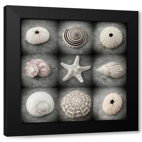 Dark Beauties Black Modern Wood Framed Art Print by Stalus, Judy