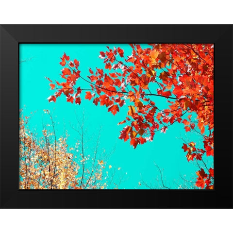 Autumn Tapestry I Black Modern Wood Framed Art Print by Stalus, Judy