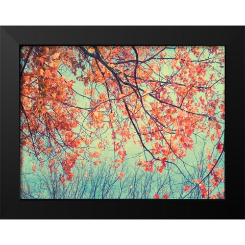 Autumn Tapestry II Black Modern Wood Framed Art Print by Stalus, Judy