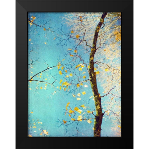 Autumn Tapestry III Black Modern Wood Framed Art Print by Stalus, Judy