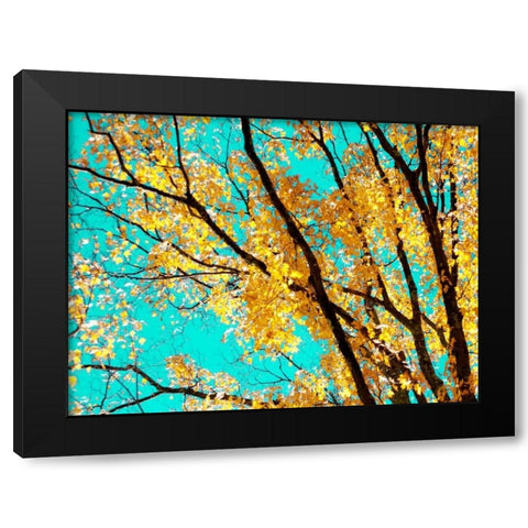 Autumn Tapestry IV Black Modern Wood Framed Art Print with Double Matting by Stalus, Judy
