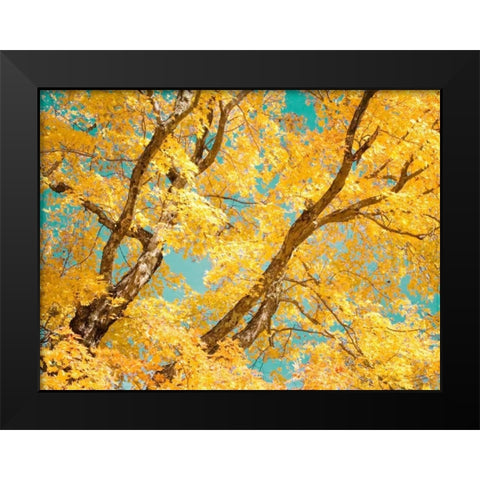 Autumn Tapestry V Black Modern Wood Framed Art Print by Stalus, Judy