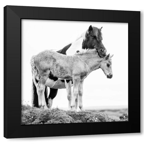 BandW Horses I Black Modern Wood Framed Art Print by PHBurchett