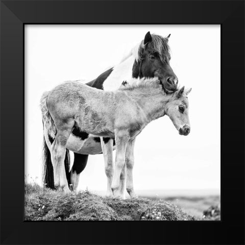 BandW Horses I Black Modern Wood Framed Art Print by PHBurchett
