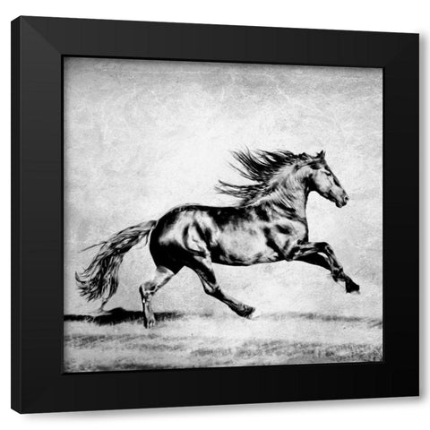 BandW Horses II Black Modern Wood Framed Art Print with Double Matting by PHBurchett