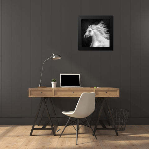 BandW Horses IV Black Modern Wood Framed Art Print by PHBurchett