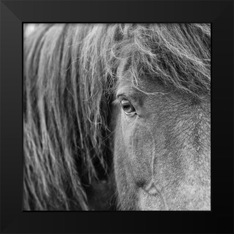BandW Horses VI Black Modern Wood Framed Art Print by PHBurchett