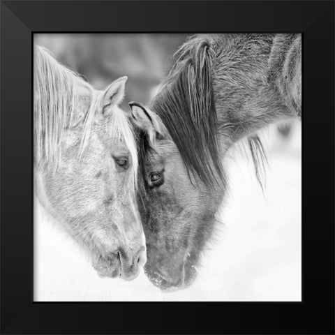 BandW Horses VII Black Modern Wood Framed Art Print by PHBurchett