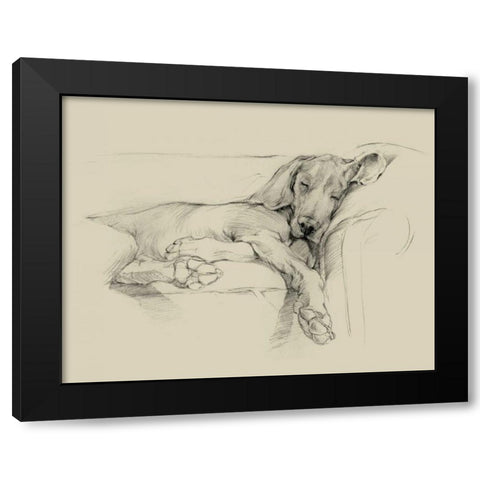 Dog Days I Black Modern Wood Framed Art Print by Harper, Ethan