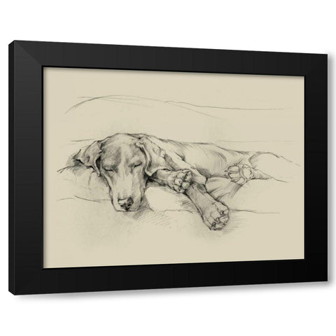 Dog Days II Black Modern Wood Framed Art Print by Harper, Ethan