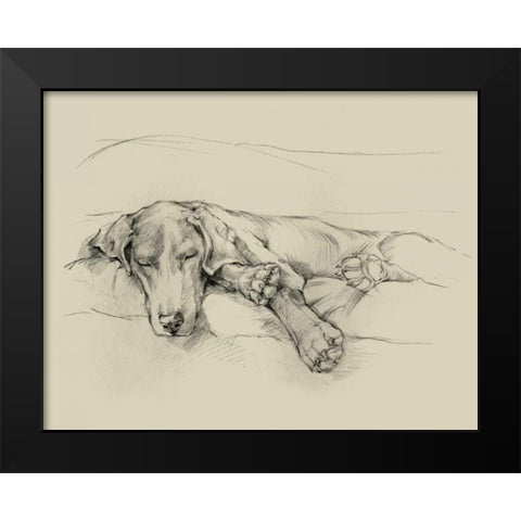 Dog Days II Black Modern Wood Framed Art Print by Harper, Ethan