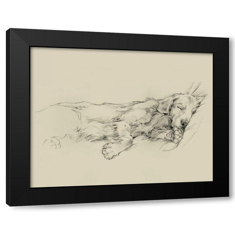 Dog Days III Black Modern Wood Framed Art Print by Harper, Ethan