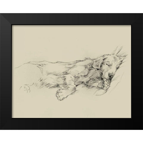 Dog Days III Black Modern Wood Framed Art Print by Harper, Ethan