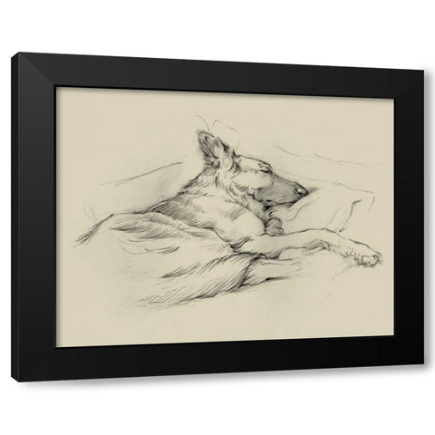 Dog Days IV Black Modern Wood Framed Art Print by Harper, Ethan