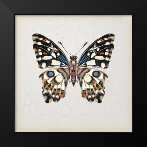 Butterfly Study II Black Modern Wood Framed Art Print by Wang, Melissa