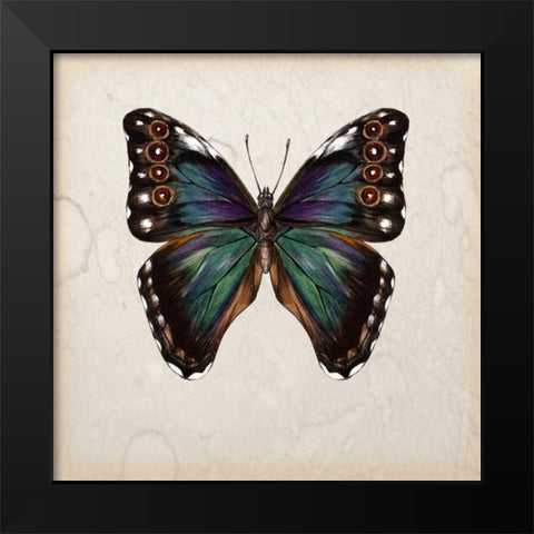 Butterfly Study III Black Modern Wood Framed Art Print by Wang, Melissa