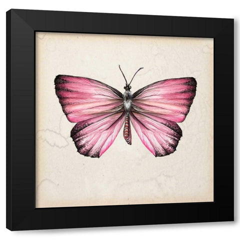 Butterfly Study IV Black Modern Wood Framed Art Print by Wang, Melissa