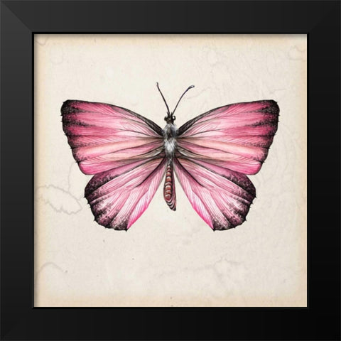 Butterfly Study IV Black Modern Wood Framed Art Print by Wang, Melissa