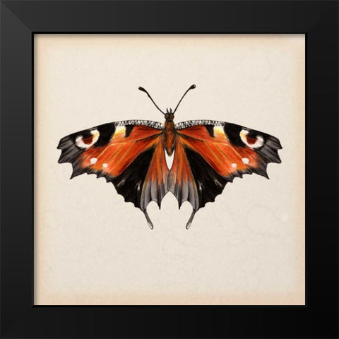 Butterfly Study V Black Modern Wood Framed Art Print by Wang, Melissa