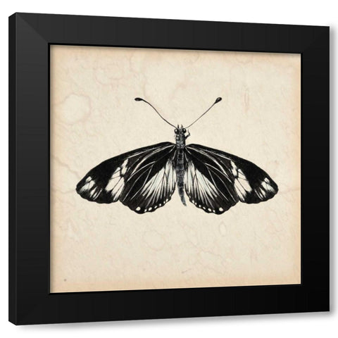 Butterfly Study VI Black Modern Wood Framed Art Print with Double Matting by Wang, Melissa