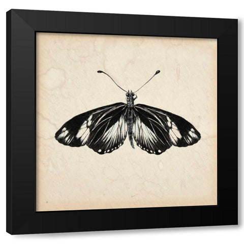 Butterfly Study VI Black Modern Wood Framed Art Print by Wang, Melissa