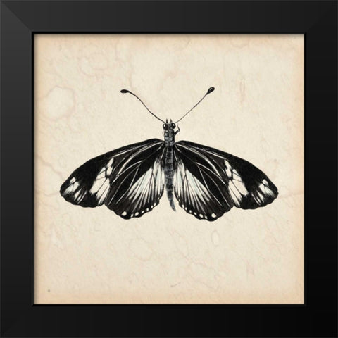 Butterfly Study VI Black Modern Wood Framed Art Print by Wang, Melissa