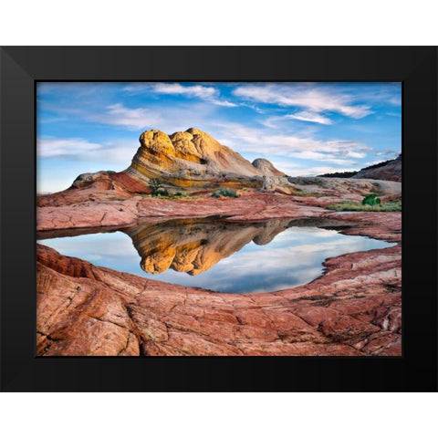 Arizona Reflection II Black Modern Wood Framed Art Print by Drost, David