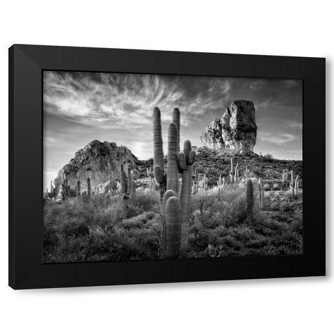 BandW Desert View I Black Modern Wood Framed Art Print by Drost, David