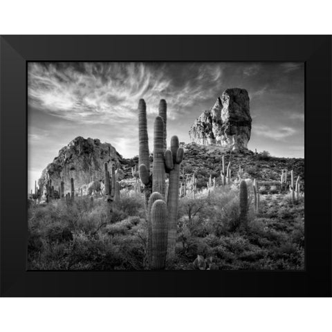 BandW Desert View I Black Modern Wood Framed Art Print by Drost, David