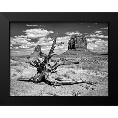 BandW Desert View V Black Modern Wood Framed Art Print by Drost, David