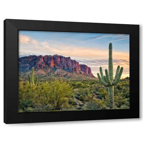 Cacti View II Black Modern Wood Framed Art Print by Drost, David