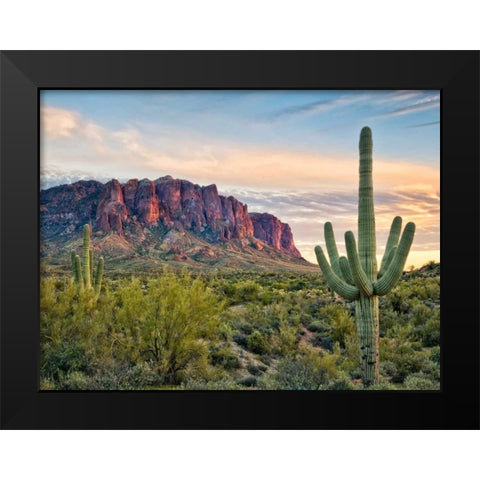Cacti View II Black Modern Wood Framed Art Print by Drost, David