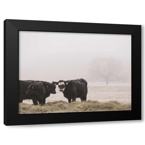 Farm Study I Black Modern Wood Framed Art Print with Double Matting by Mead, Adam