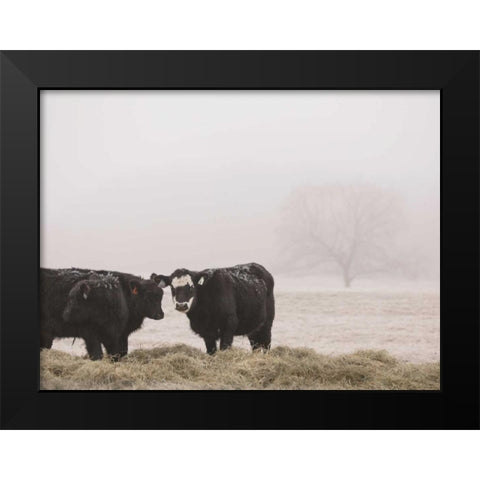 Farm Study I Black Modern Wood Framed Art Print by Mead, Adam