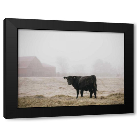 Farm Study II Black Modern Wood Framed Art Print by Mead, Adam