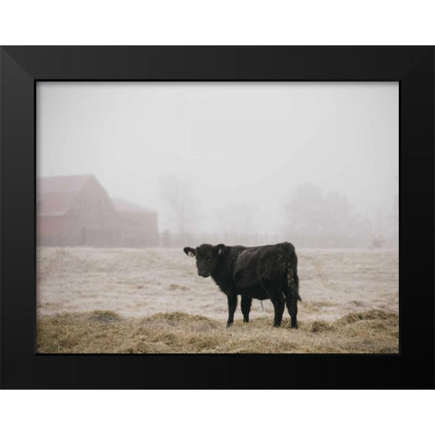 Farm Study II Black Modern Wood Framed Art Print by Mead, Adam