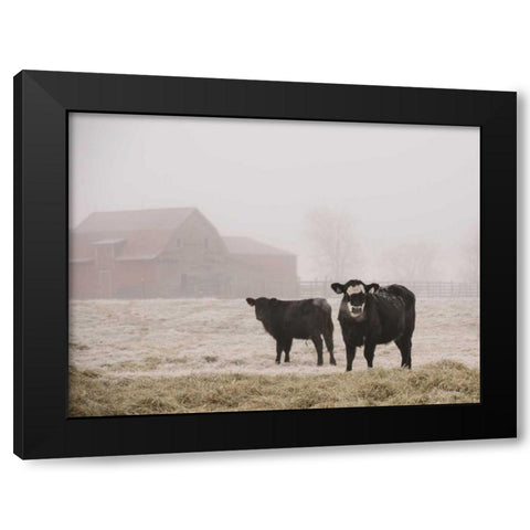 Farm Study III Black Modern Wood Framed Art Print by Mead, Adam