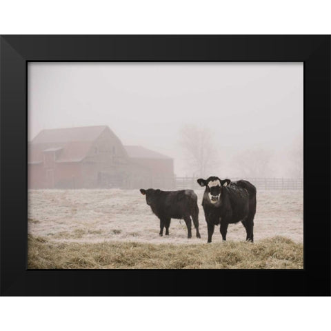 Farm Study III Black Modern Wood Framed Art Print by Mead, Adam