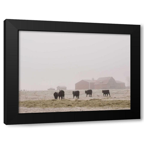 Farm Study IV Black Modern Wood Framed Art Print by Mead, Adam