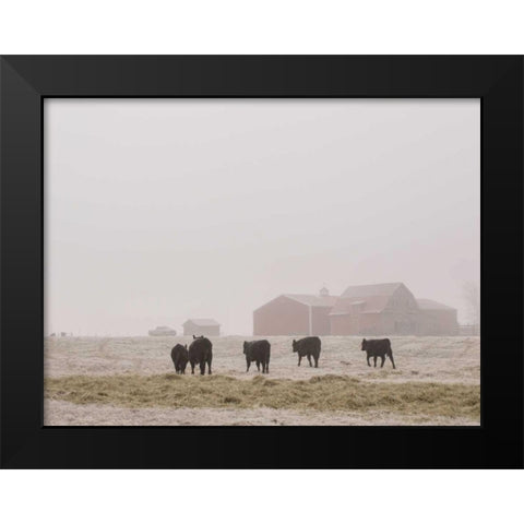 Farm Study IV Black Modern Wood Framed Art Print by Mead, Adam