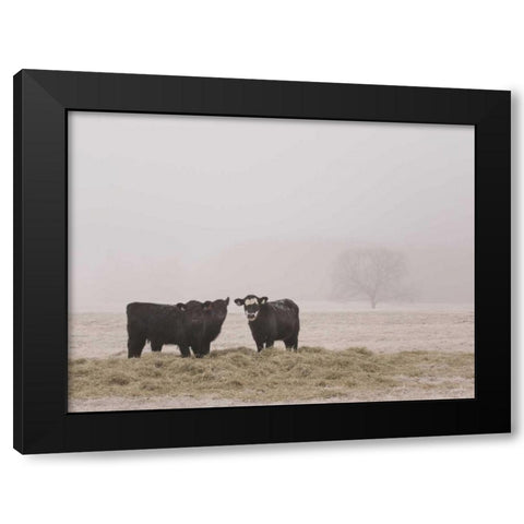 Farm Study V Black Modern Wood Framed Art Print by Mead, Adam