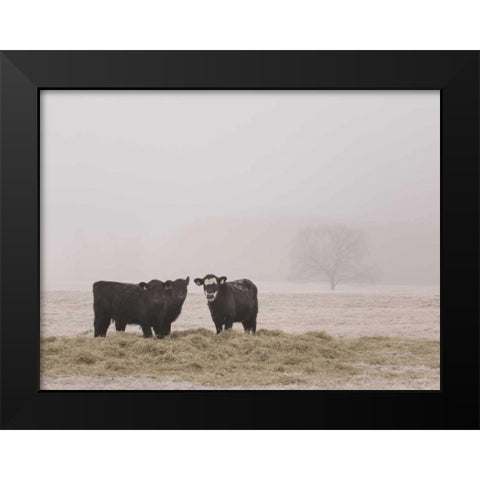 Farm Study V Black Modern Wood Framed Art Print by Mead, Adam